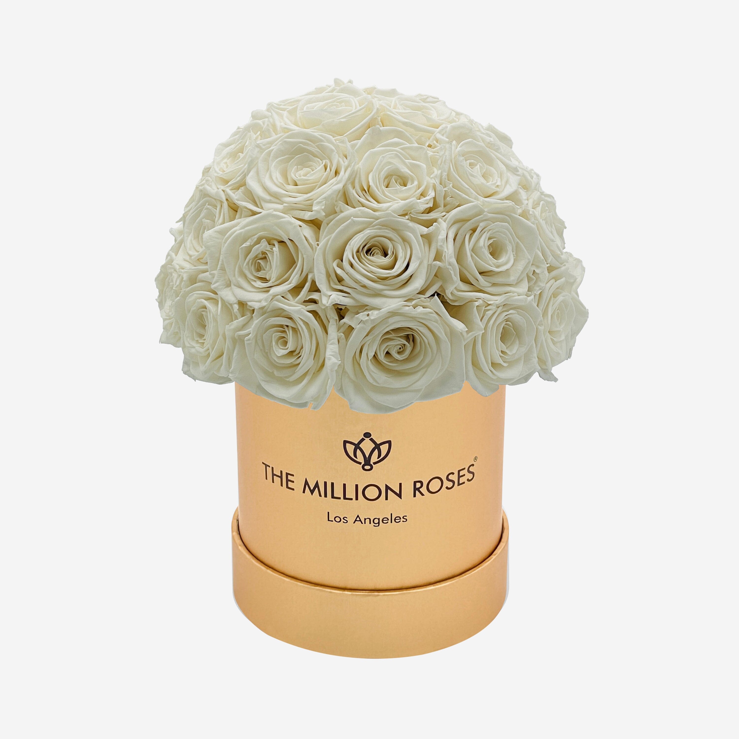 Basic Gold Superdome Box | White Roses